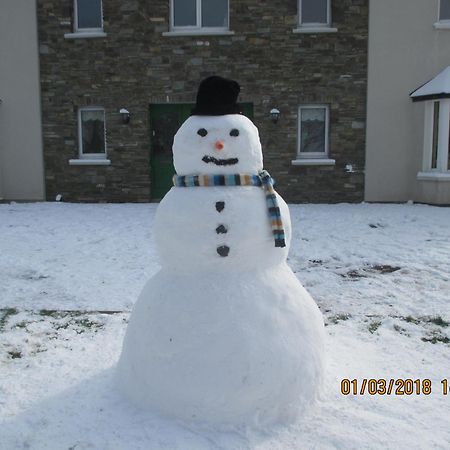 Pk Lodge Bed And Breakfast Skibbereen Exteriör bild
