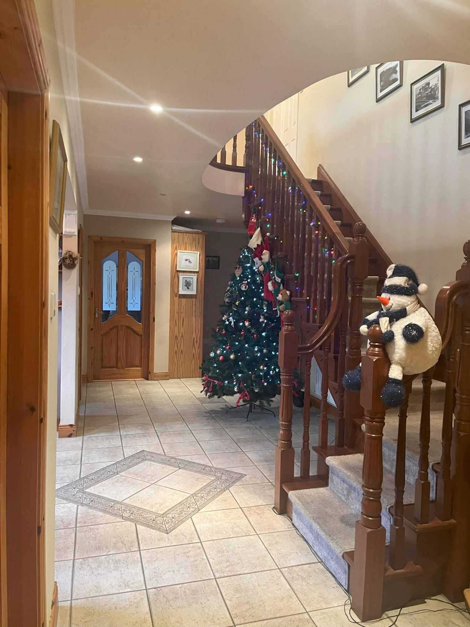 Pk Lodge Bed And Breakfast Skibbereen Exteriör bild