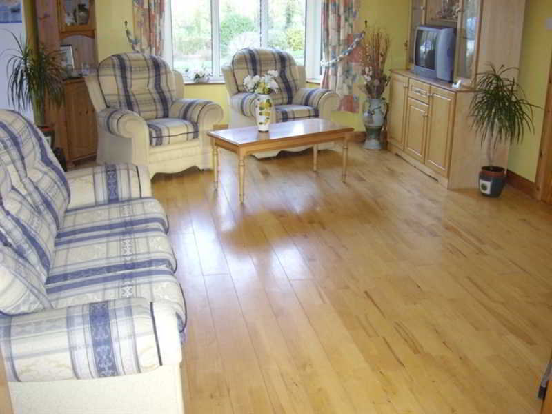 Pk Lodge Bed And Breakfast Skibbereen Exteriör bild